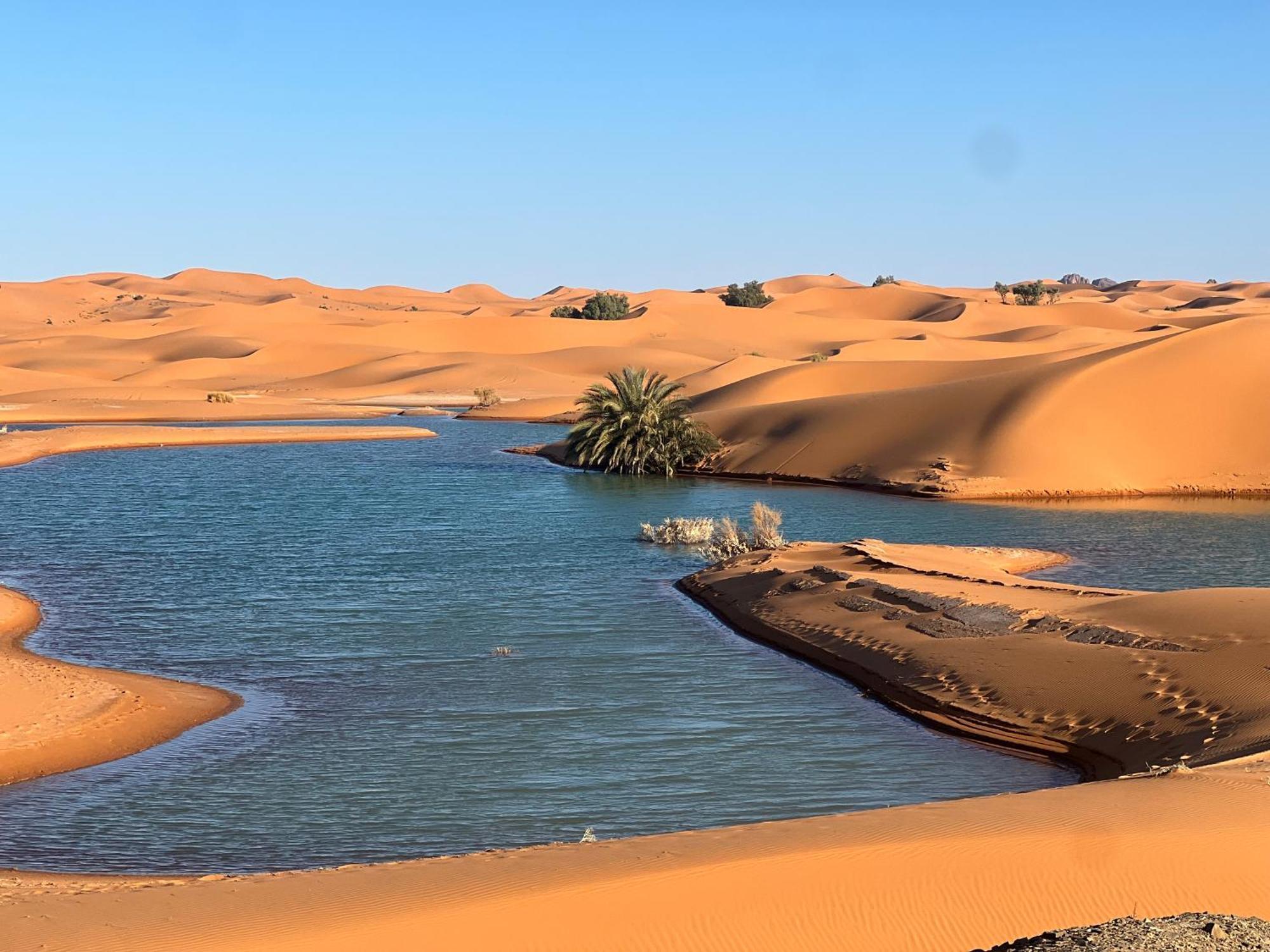 Berber Palace Merzouga Exteriér fotografie