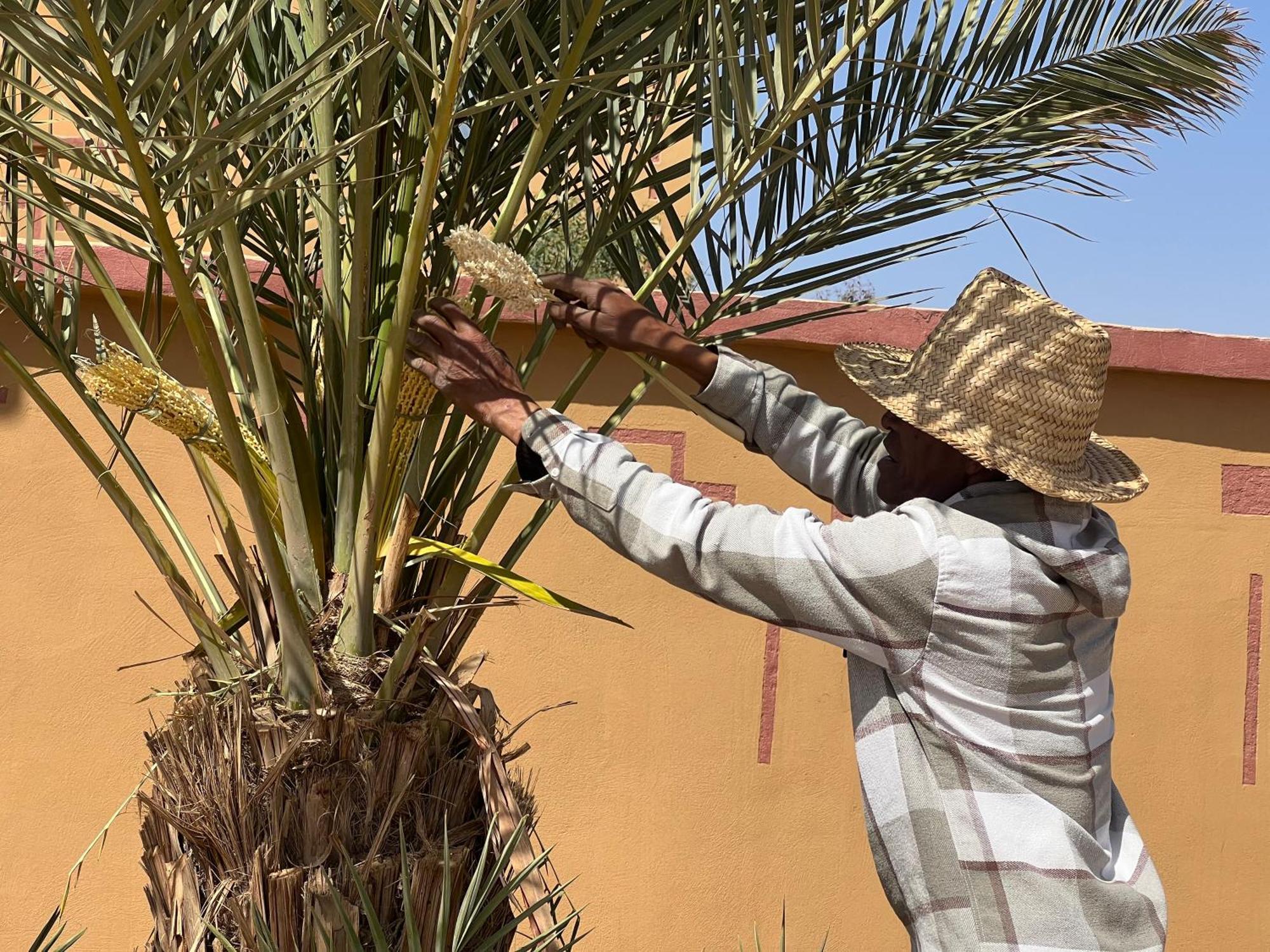 Berber Palace Merzouga Exteriér fotografie
